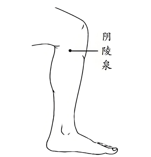 较高, 做好运动前